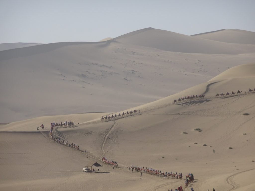 Kamelkarawananen ziehen die Düne aus Sand hinauf 