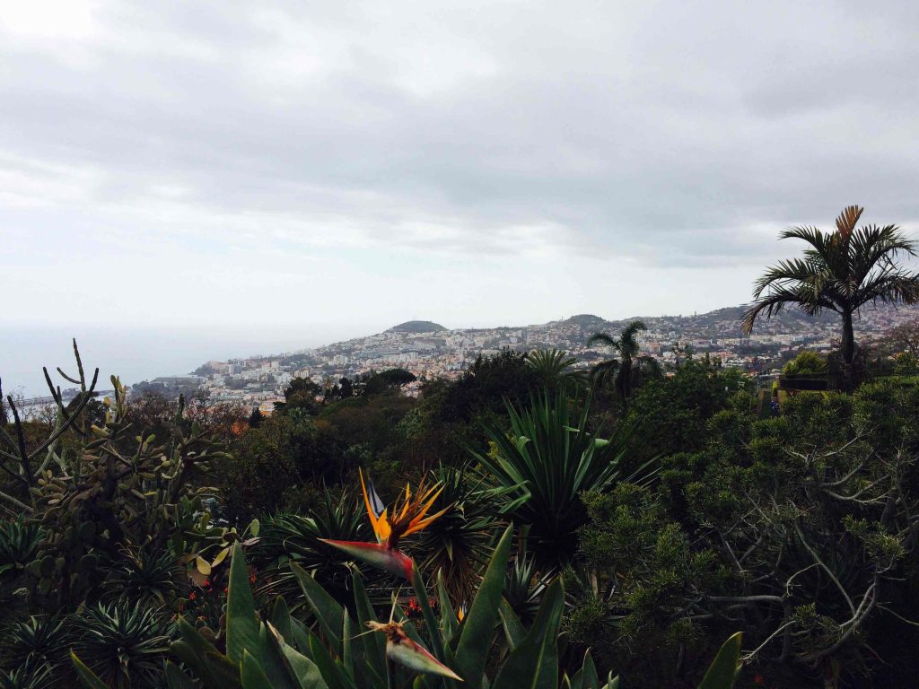 Reisebericht_Madeira