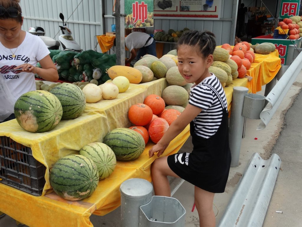 Melonen auf dem Markt (Wolfgang und Anita Ohler)