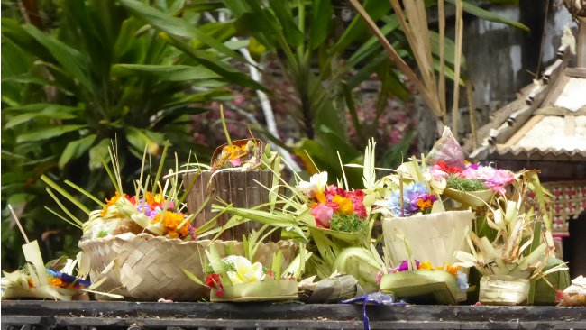 Blumenwelt auf Bali