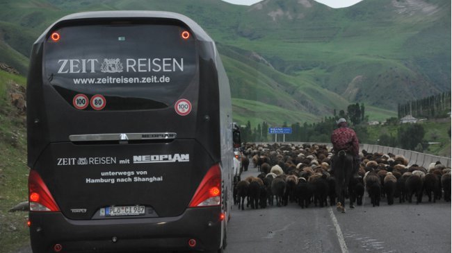 ZEITREISEN-Bus wird von Schafen ausgebremst; Anfahrt zum Taldyk-Pass 