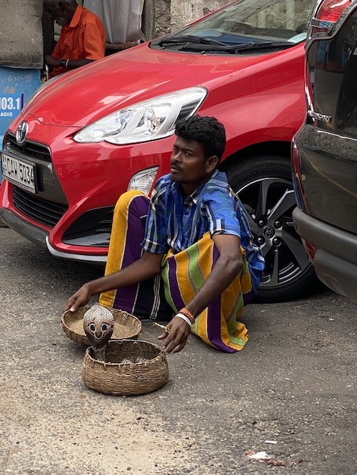 So haben wir uns das immer vorgestellt: Ein Schlangenbeschwörer und seine Kobra an einer Straße in der Nähe von Colombo.<br />Foto: Silvia Moelle