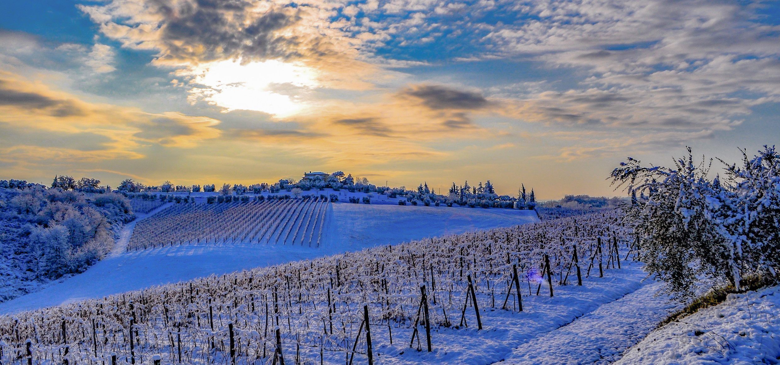 Italien-Weinberge-Winter-Silvesterreise