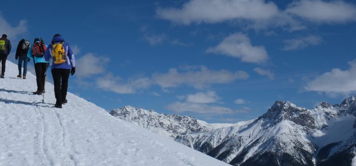 Schweiz-Schneewandern-Wanderreise