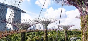 Asien_Singapur_Gardens by the Bay_Architektur