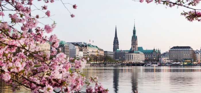 Hamburg-Binnenalster-Kirschblüten