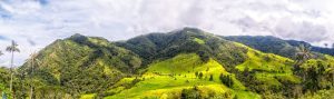 Panorama of the Cocora Valley Mountains