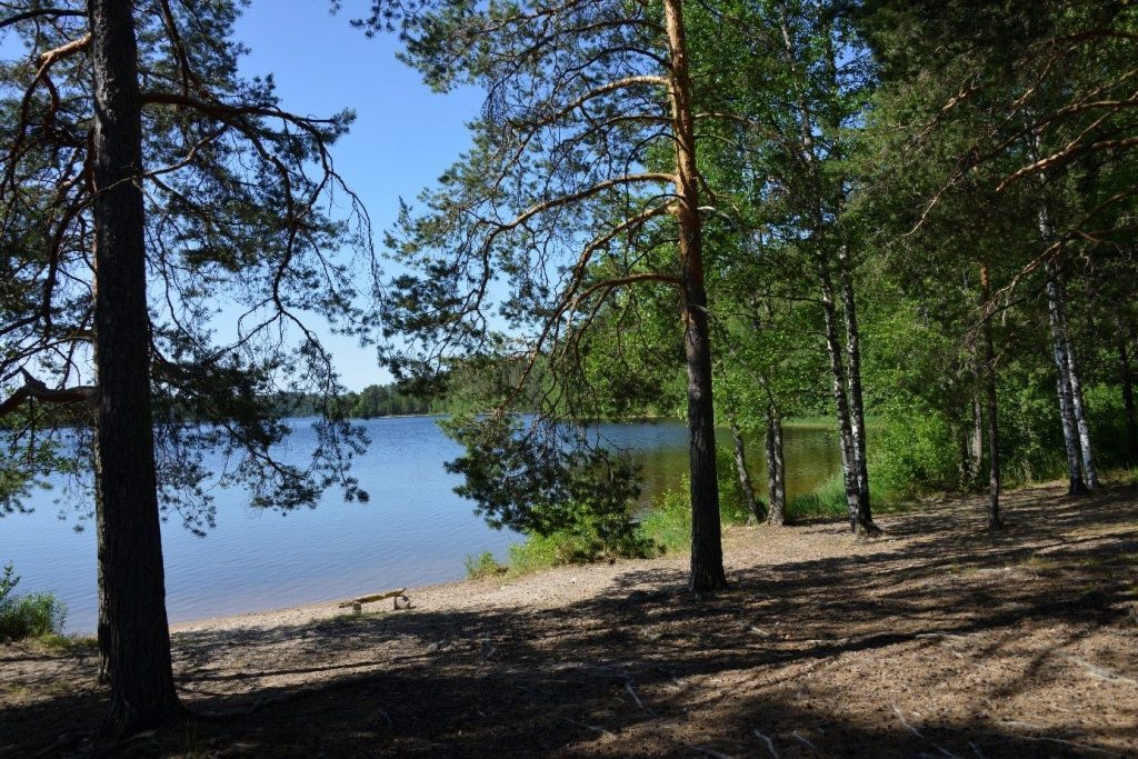 Wunderwald der Finnischen Seenplatte_c_Wolfgang Pohl