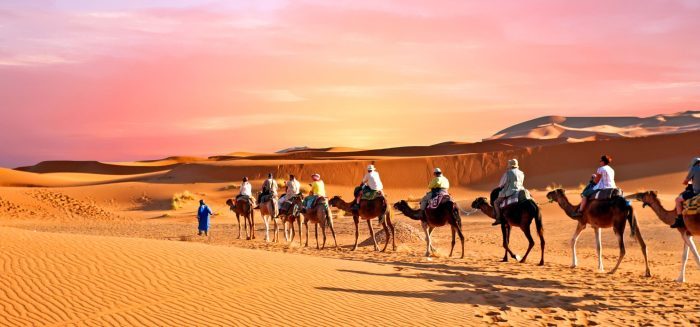 wueste-kamele-karawane-sonnenuntergang-sahara-afrika