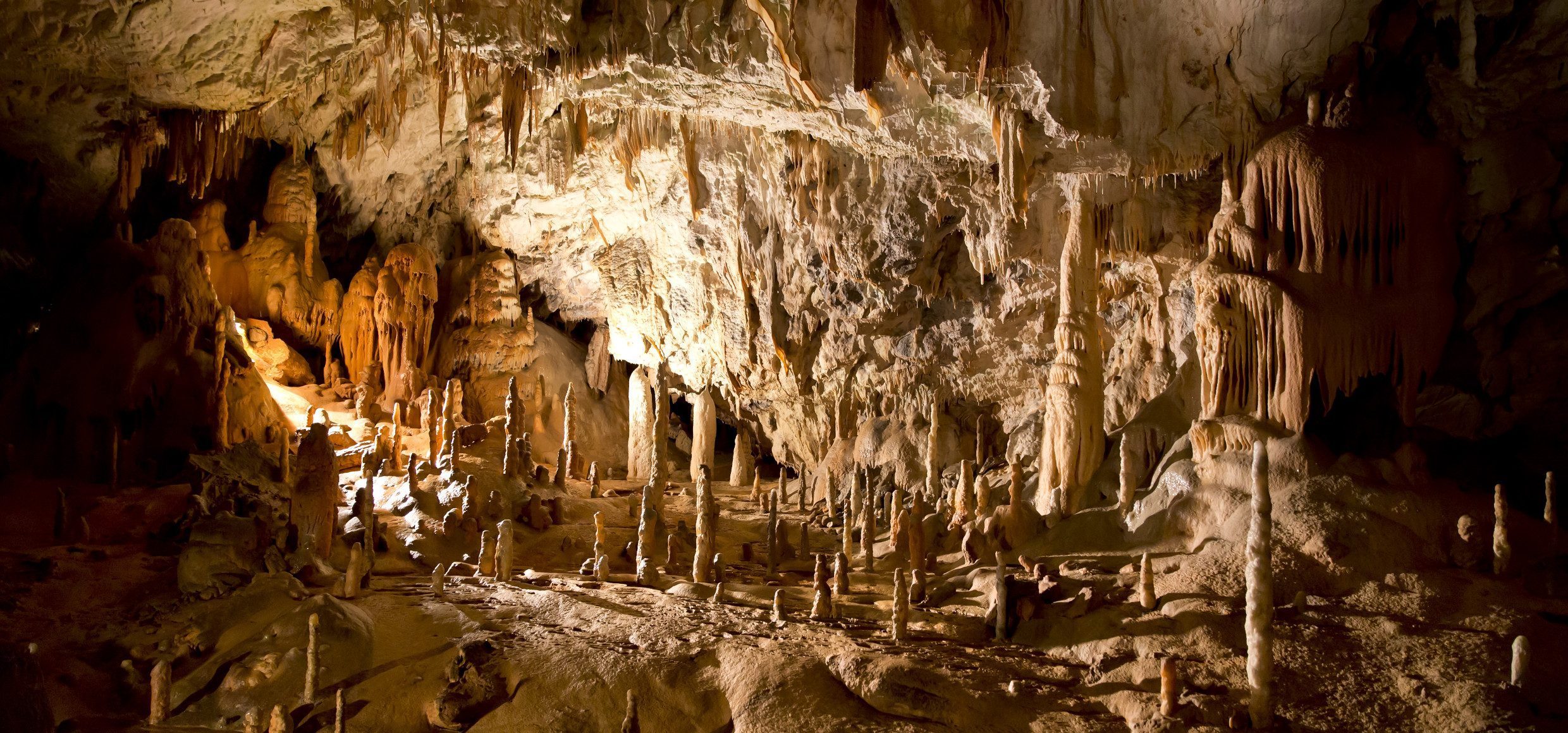 Grotte Höhle Postojna Slowenien
