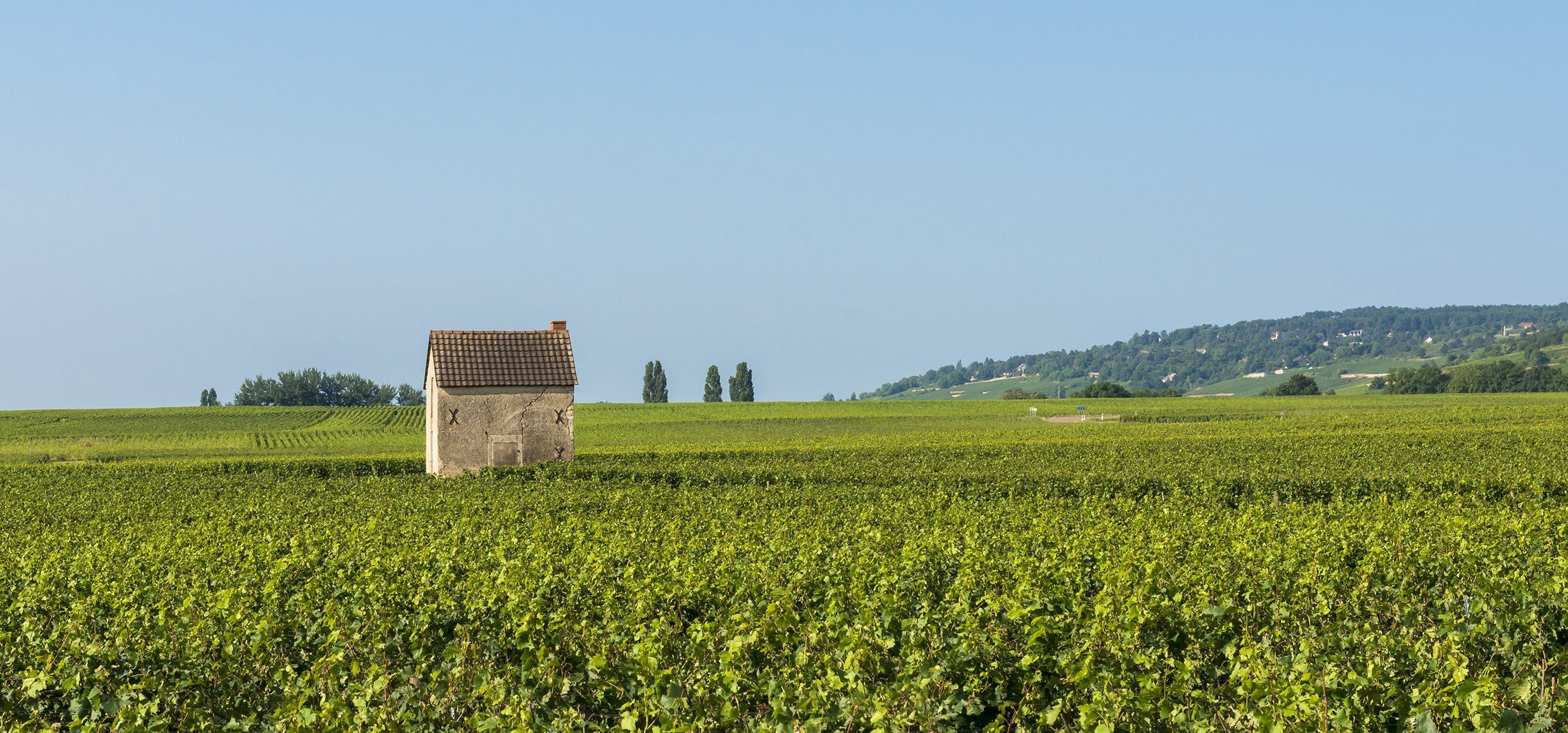 Rhone beaune landschaft