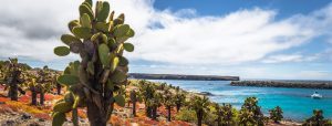 Galapagos Landschaft